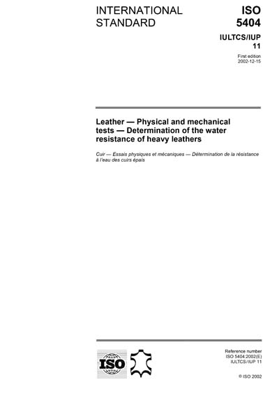 Standards PDF Cover Page